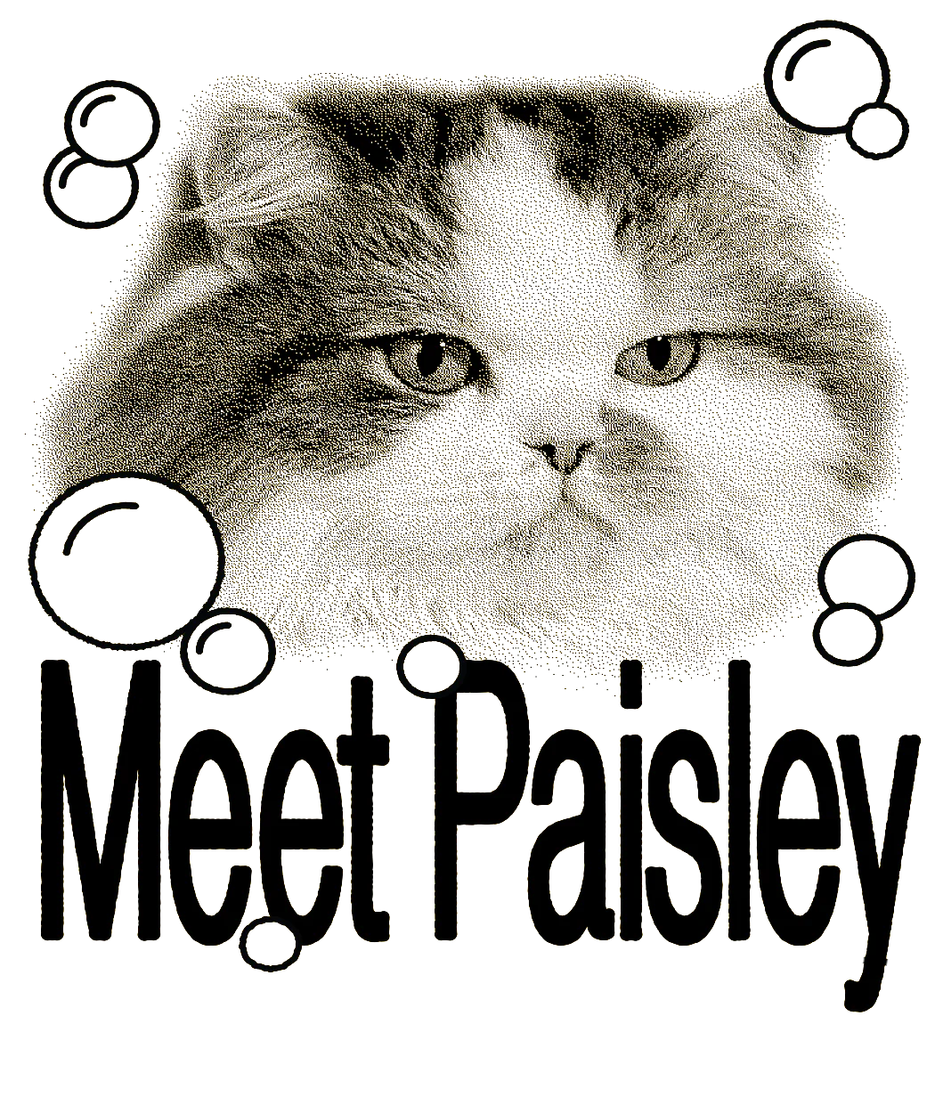 Le Puzz - ME-ow Time