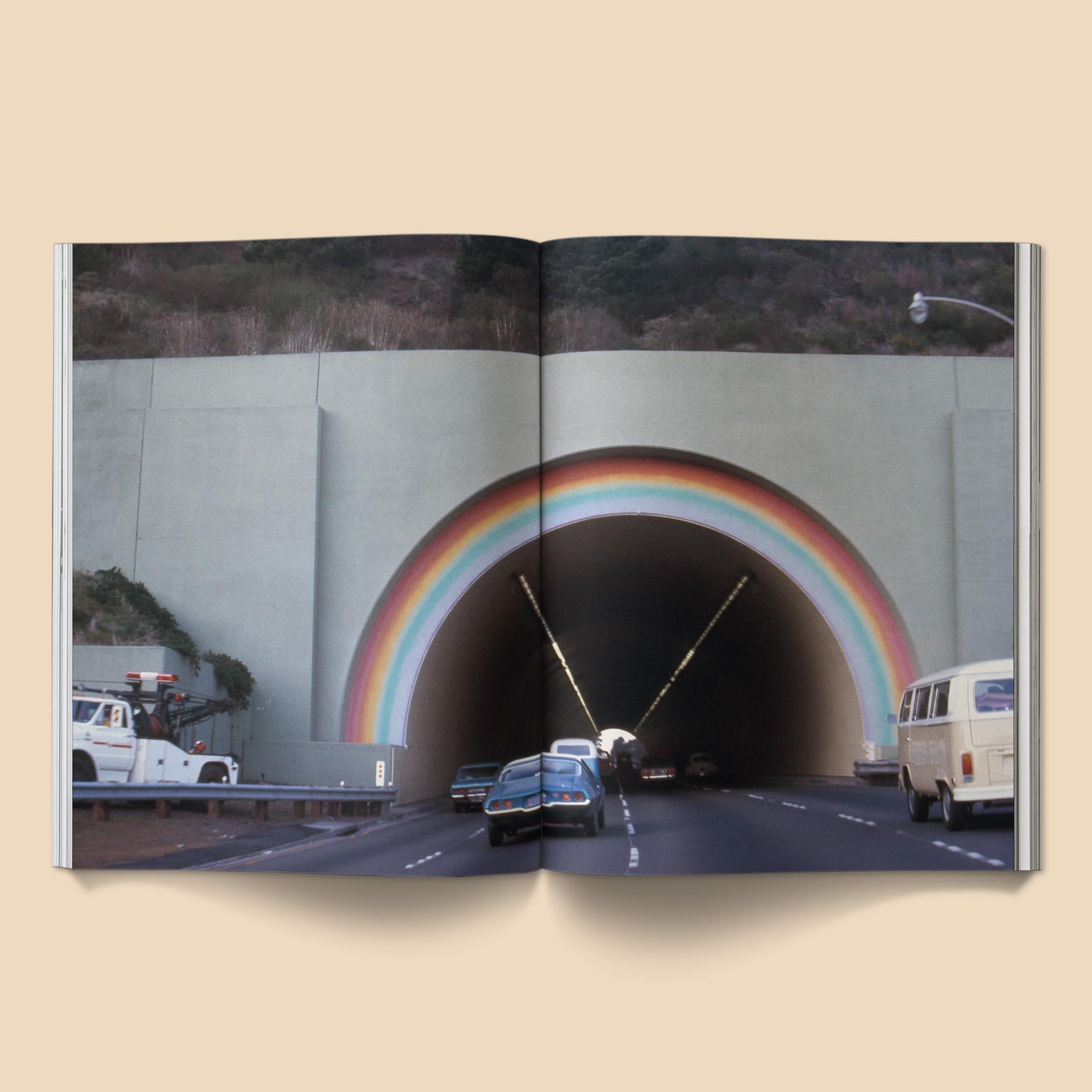 BROCCOLI MAGAZINE - The Family Acid: California Photo Book