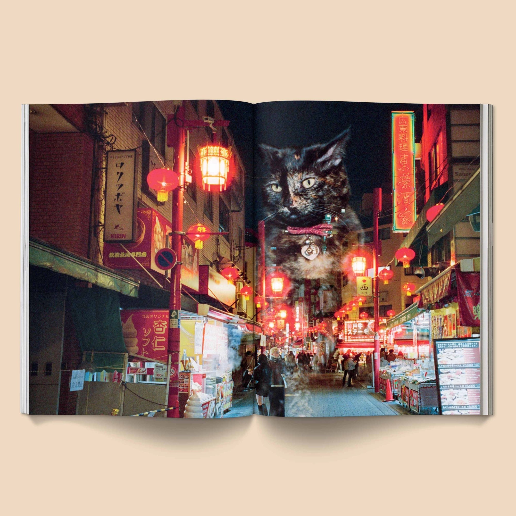 BROCCOLI MAGAZINE - Catnip Magazine