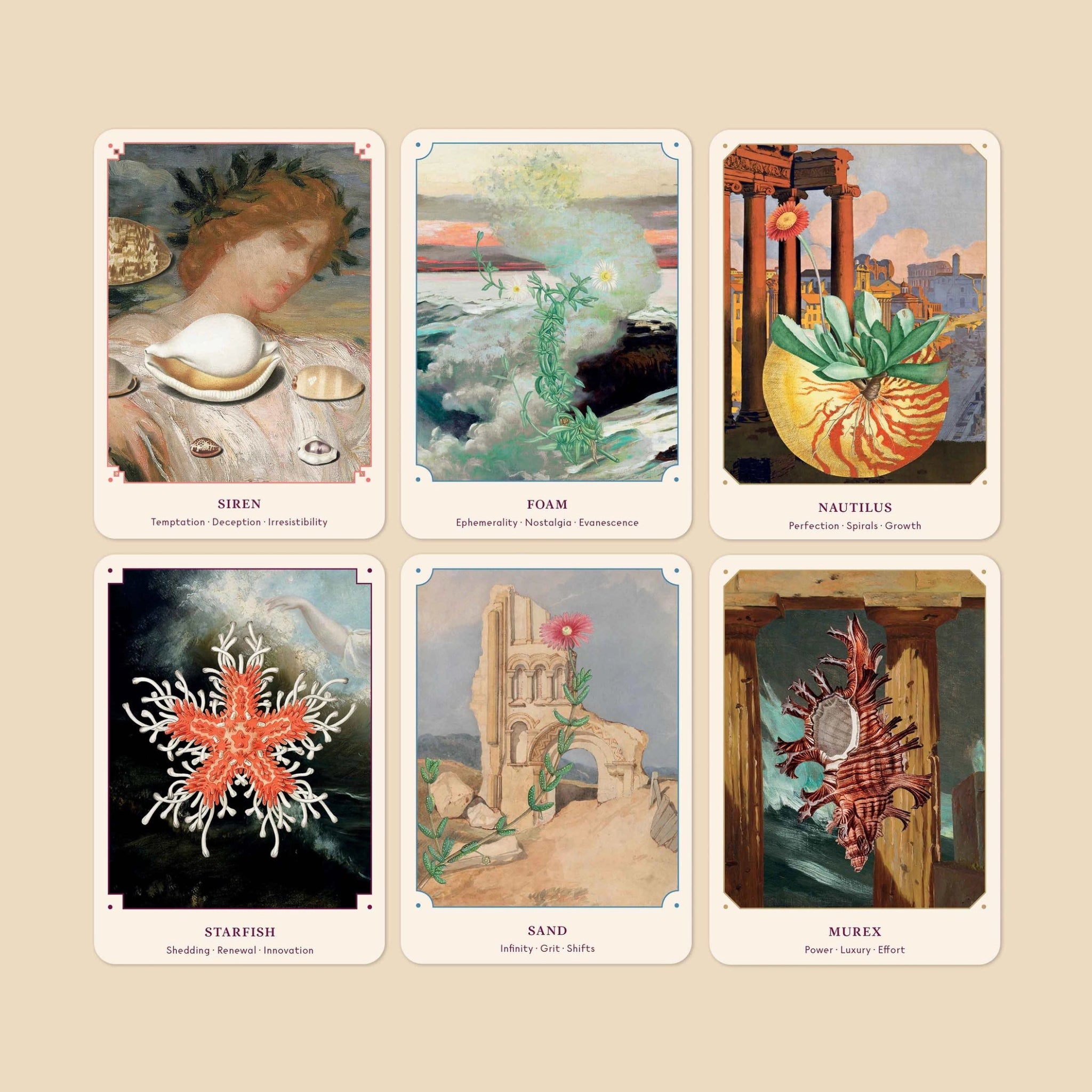 BROCCOLI MAGAZINE - The Seashell Oracle: 44 Card Deck and Guidebook