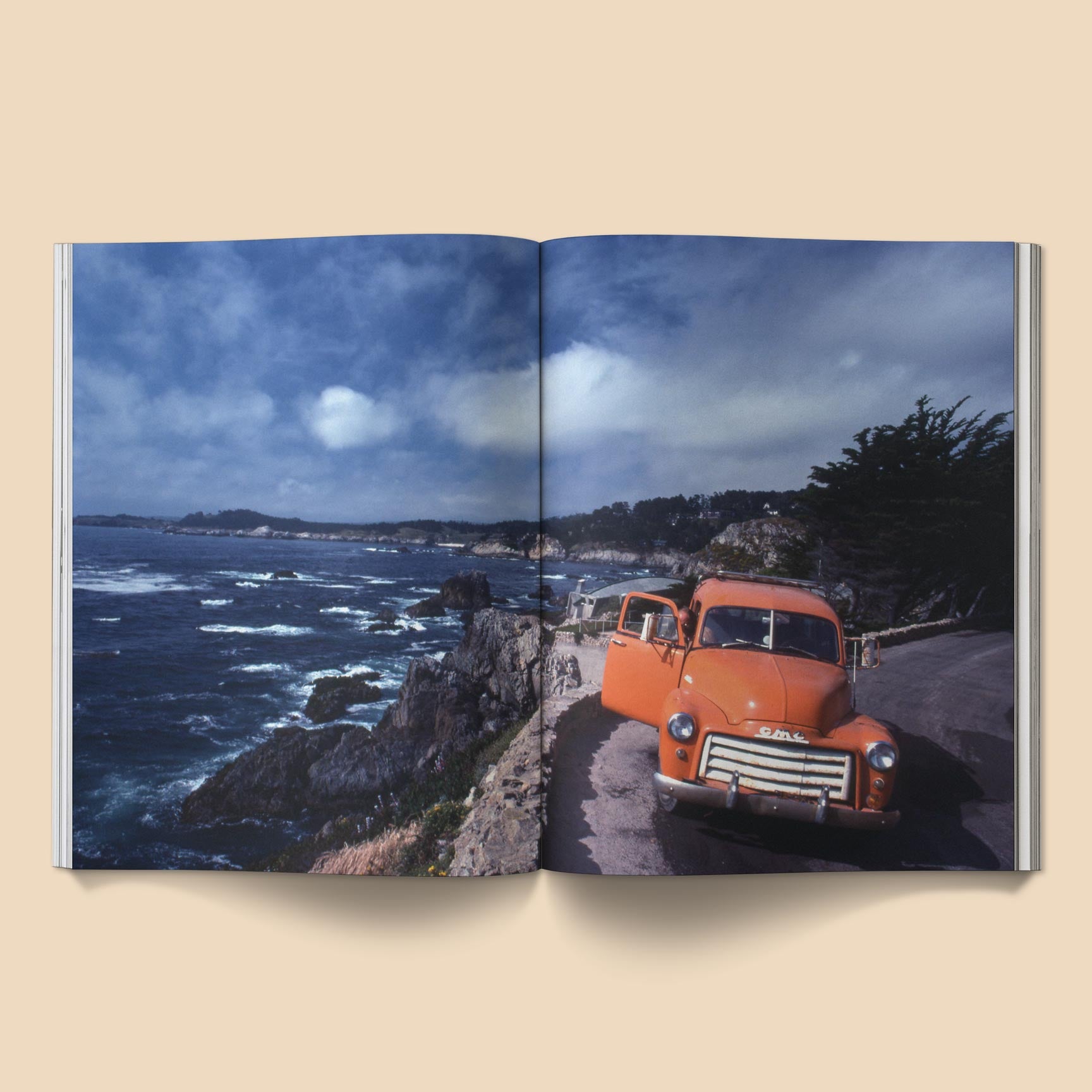 BROCCOLI MAGAZINE - The Family Acid: California Photo Book