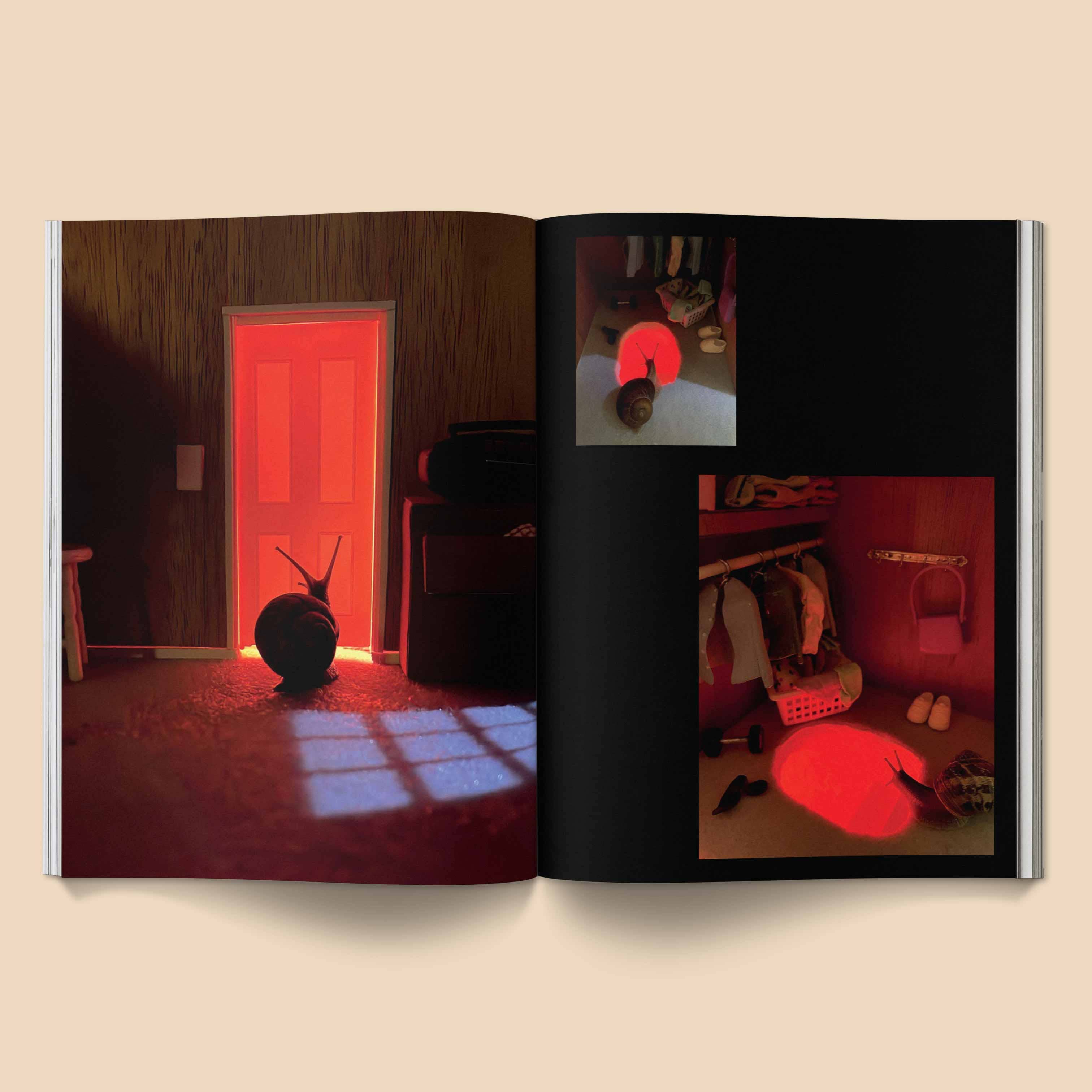 BROCCOLI MAGAZINE - Snail World 2: Welcome to Slimetown Coffee Table Book