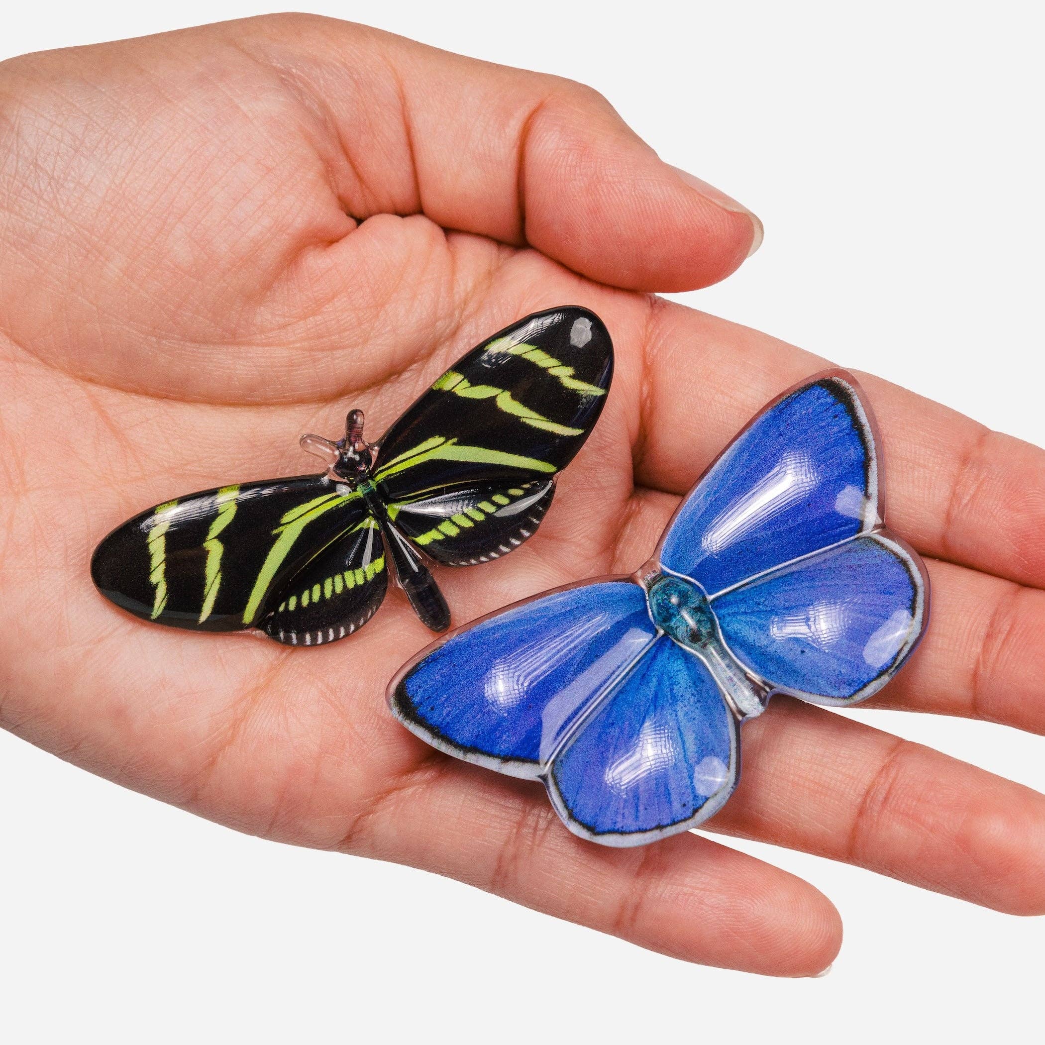 CHUNKS - Allie Butterfly Clips in Light Catchers