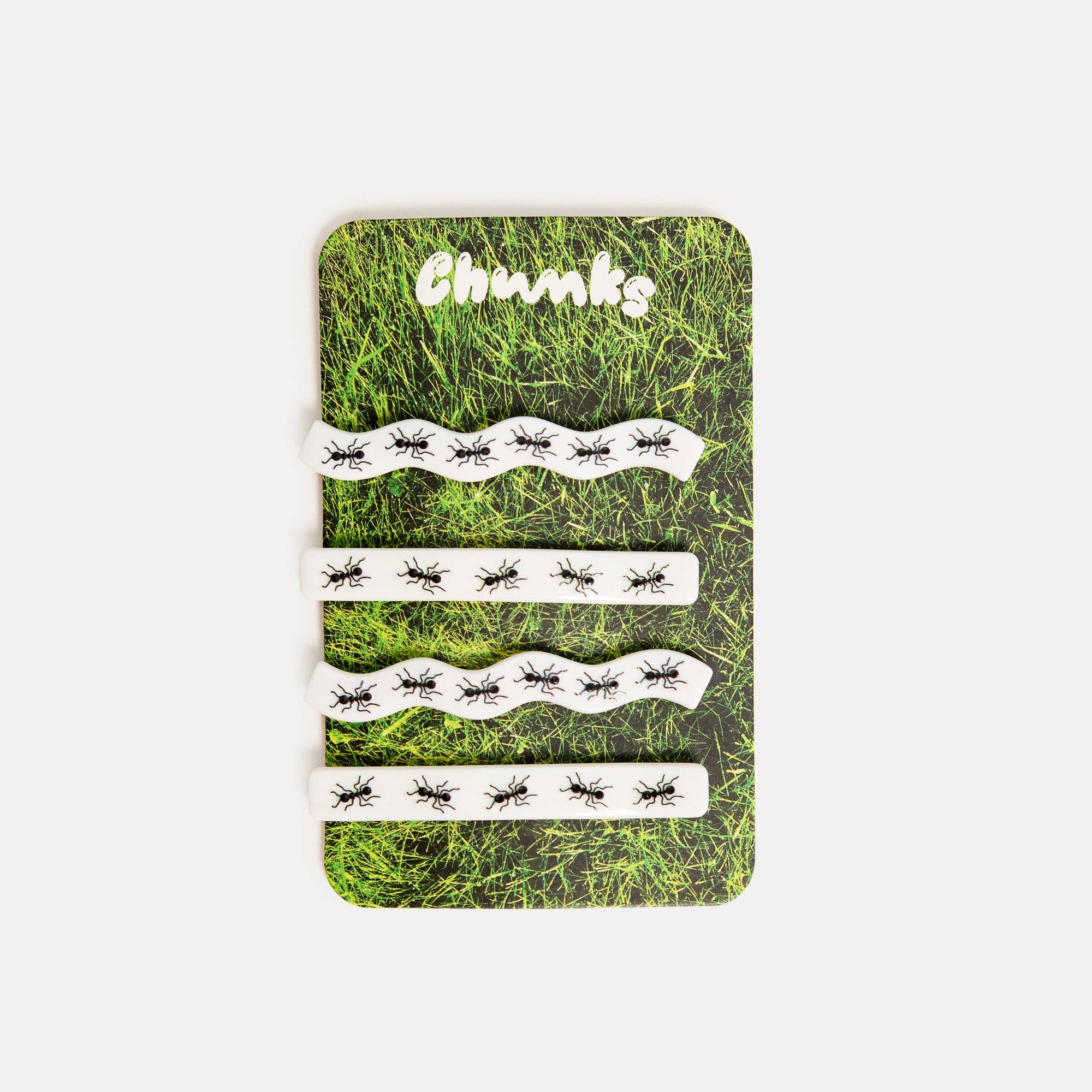 CHUNKS - Slides in Ants