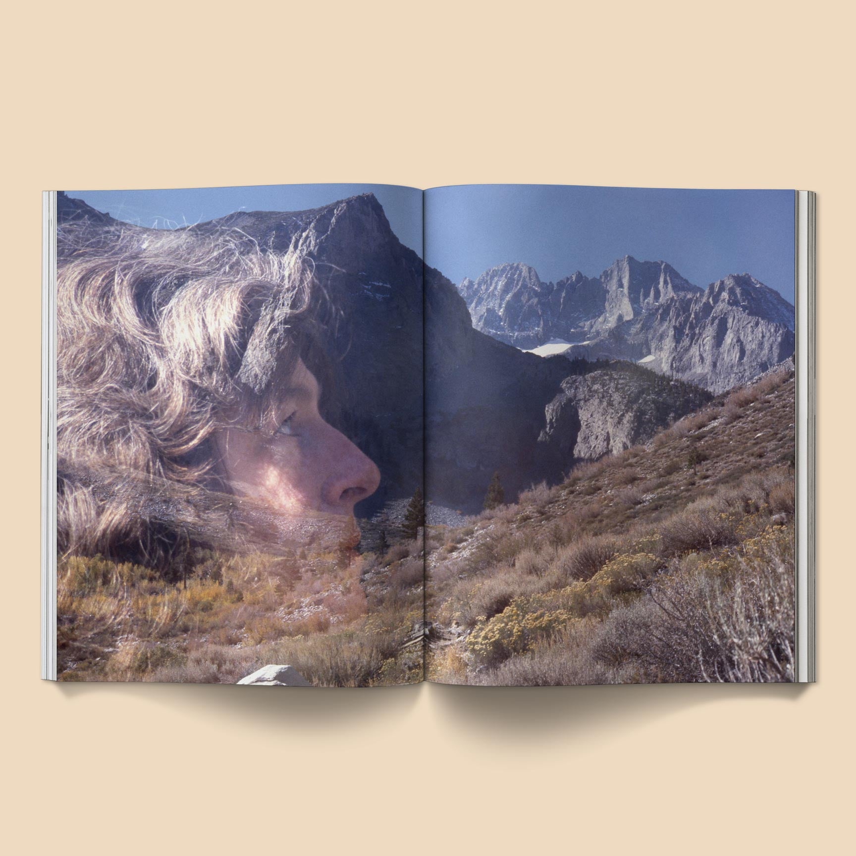 BROCCOLI MAGAZINE - The Family Acid: California Photo Book