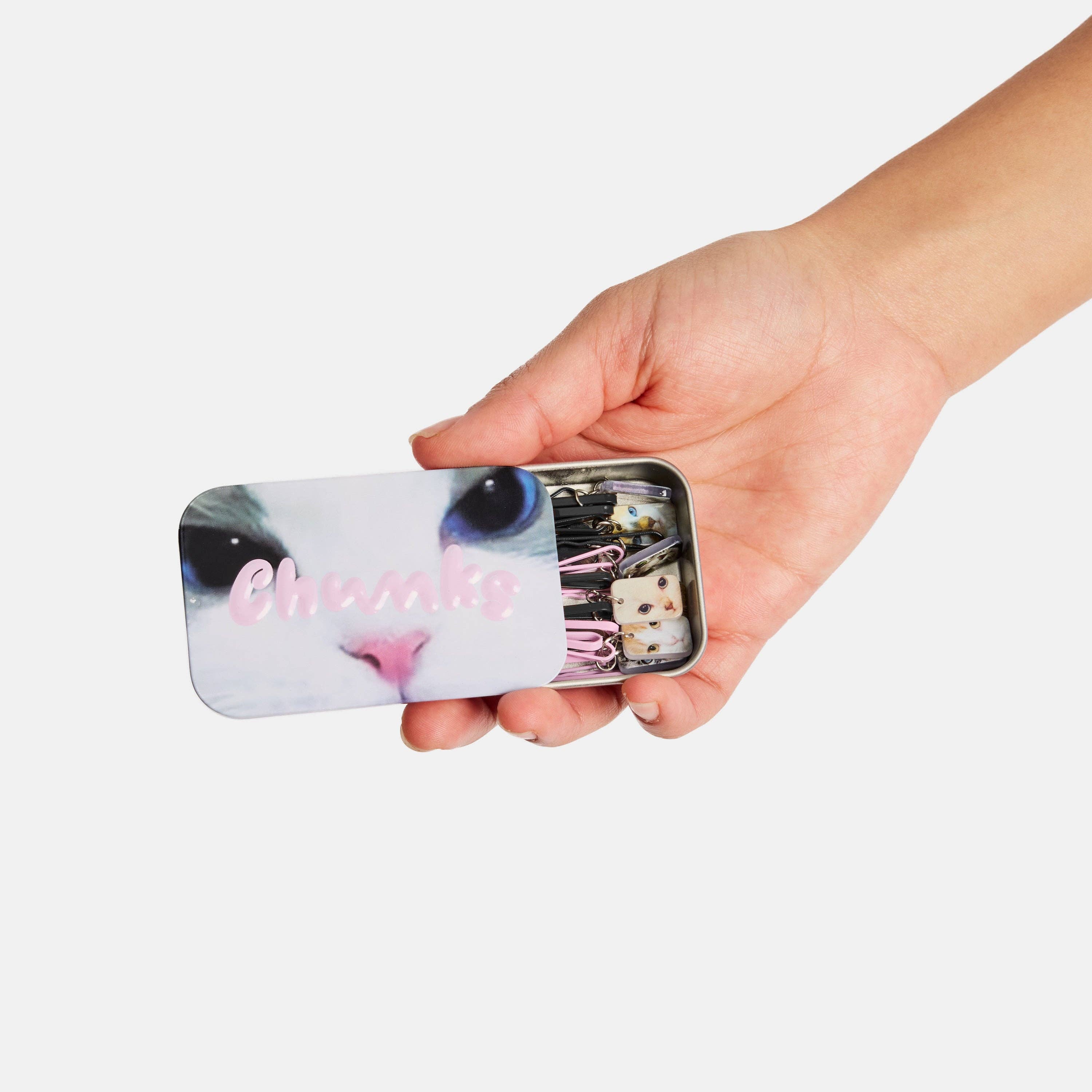 CHUNKS - Kitty Bobby Pins