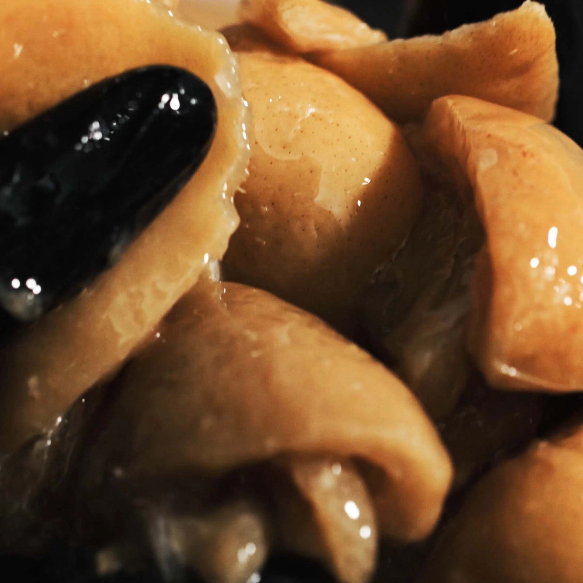 NON - NON5 Lemon Marmalade & Hibiscus Non-Alc wine