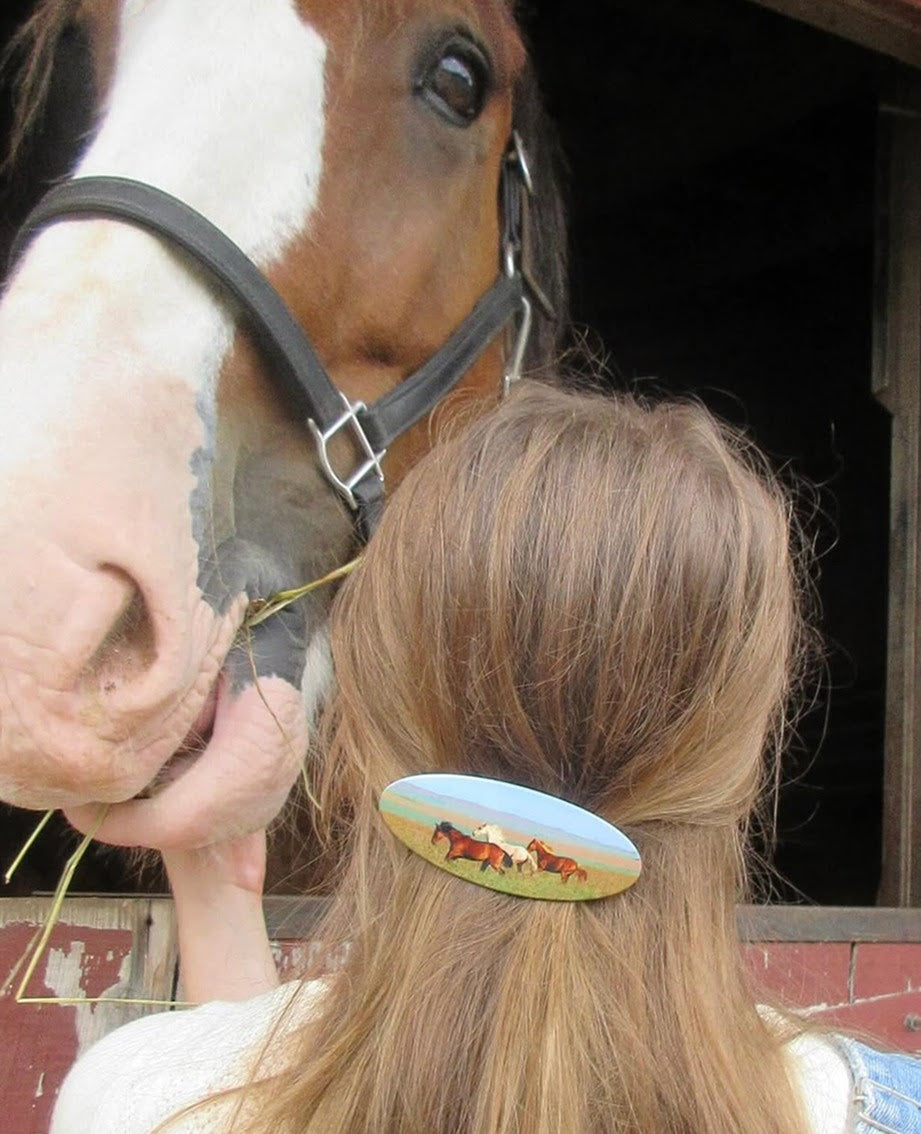 CHUNKS - Horse Girl Barrette